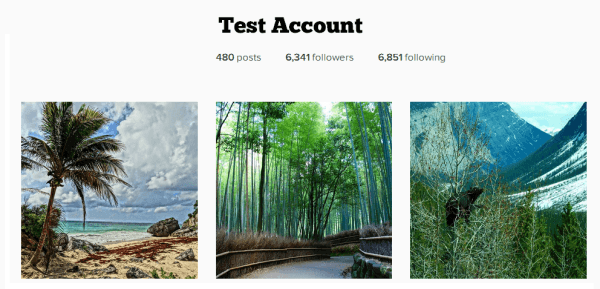 Test Account Instagram
