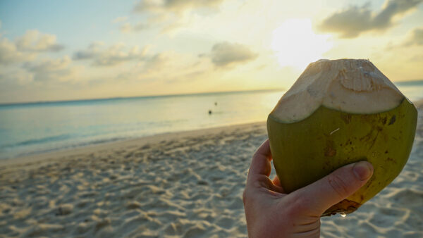 Fulidhoo Sunset with Coconut