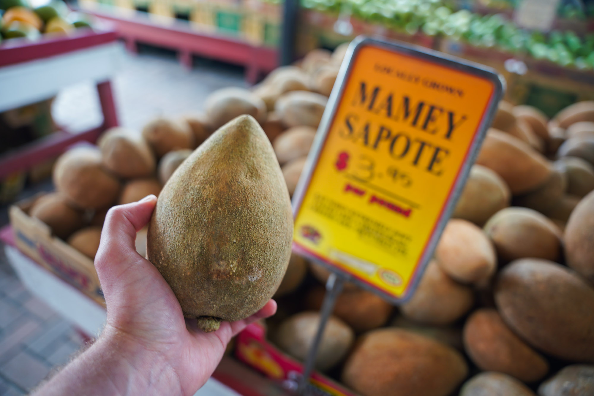 Sapote at Robert is Here